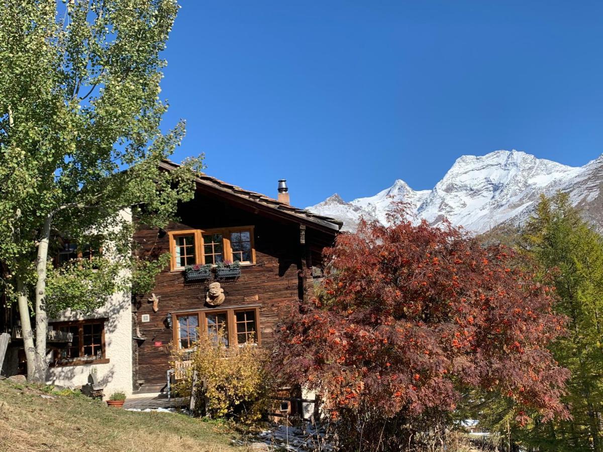 Châlet Birkhahn Saas Fee Dış mekan fotoğraf