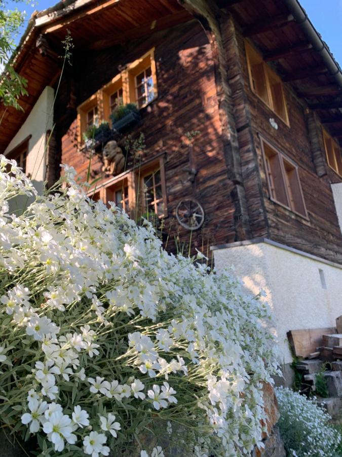 Châlet Birkhahn Saas Fee Dış mekan fotoğraf