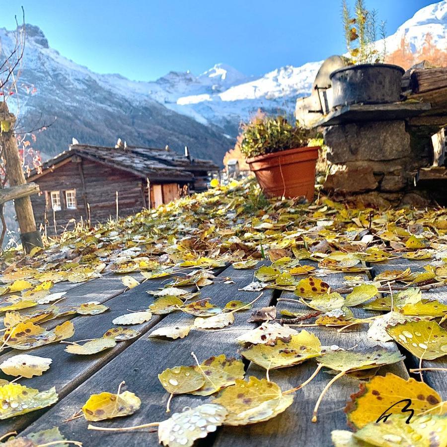 Châlet Birkhahn Saas Fee Dış mekan fotoğraf